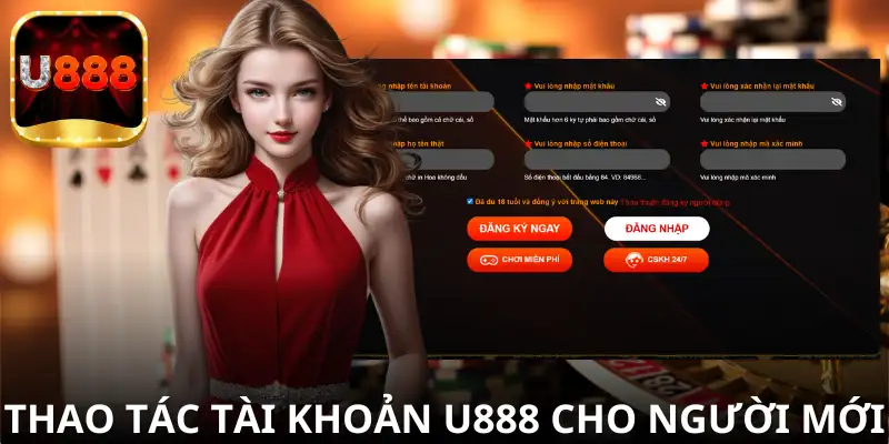 Hướng dẫn chi tiết thao tác tài khoản dành cho người mới bắt đầu.