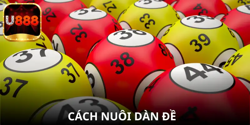 Phương pháp nuôi dàn đề khoa học