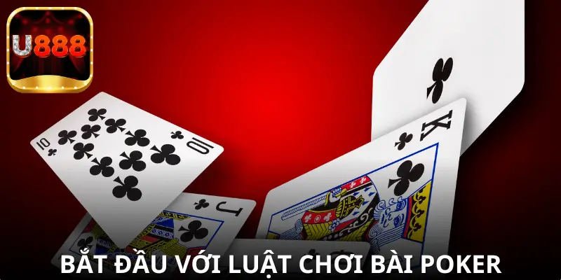 Hướng dẫn chơi cơ bản